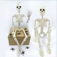 Halloween Decorations Skeleton,Posable Human Shape Skeleton,Halloween Fake Bone Horror Decoration