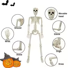 Halloween Decorations Skeleton,Posable Human Shape Skeleton,Halloween Fake Bone Horror Decoration