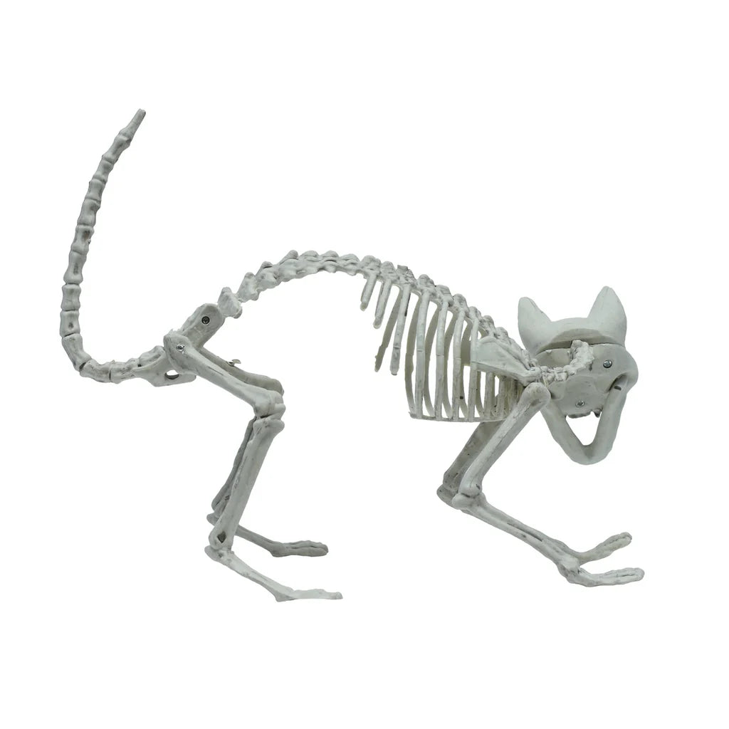 Fake Animal Skeleton Model Halloween Decor Dog Bat Spider Scorpion Cat Skeleton Scary Pendant Props Haunted House Accessories