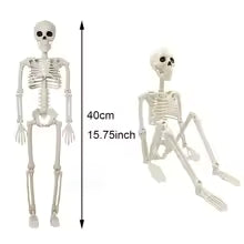 Halloween Decorations Skeleton,Posable Human Shape Skeleton,Halloween Fake Bone Horror Decoration