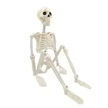 Halloween Decorations Skeleton,Posable Human Shape Skeleton,Halloween Fake Bone Horror Decoration
